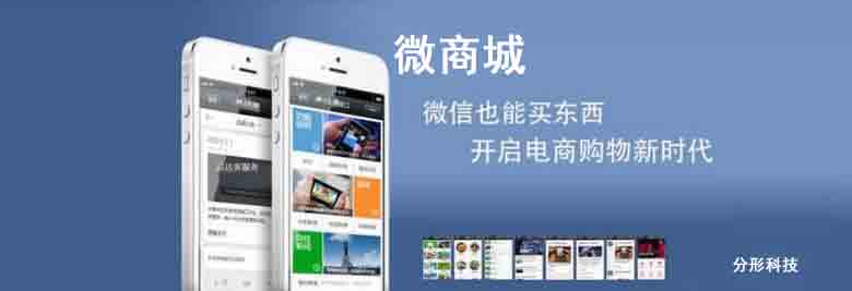 破解微商城網(wǎng)站開發(fā)的步驟