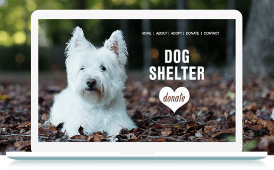 完美CTA：網(wǎng)站成功的關鍵所在