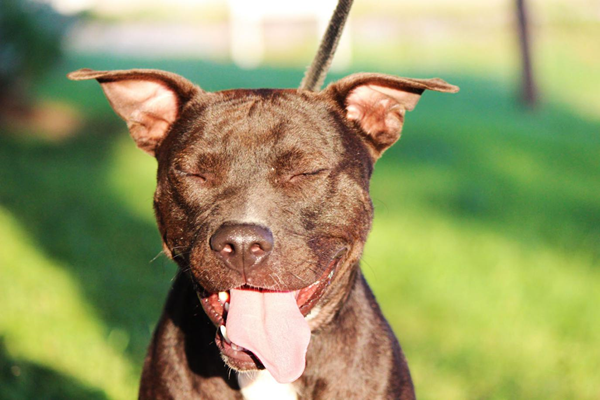 來自社交媒體的圖片如何幫你在網(wǎng)絡上脫穎而出