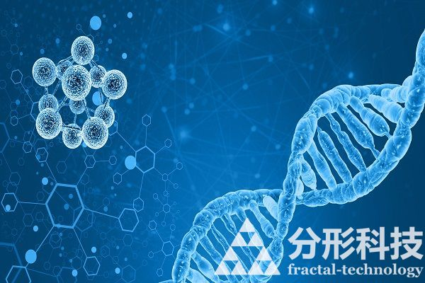 醫(yī)院網站建設：數字化健康服務新模式